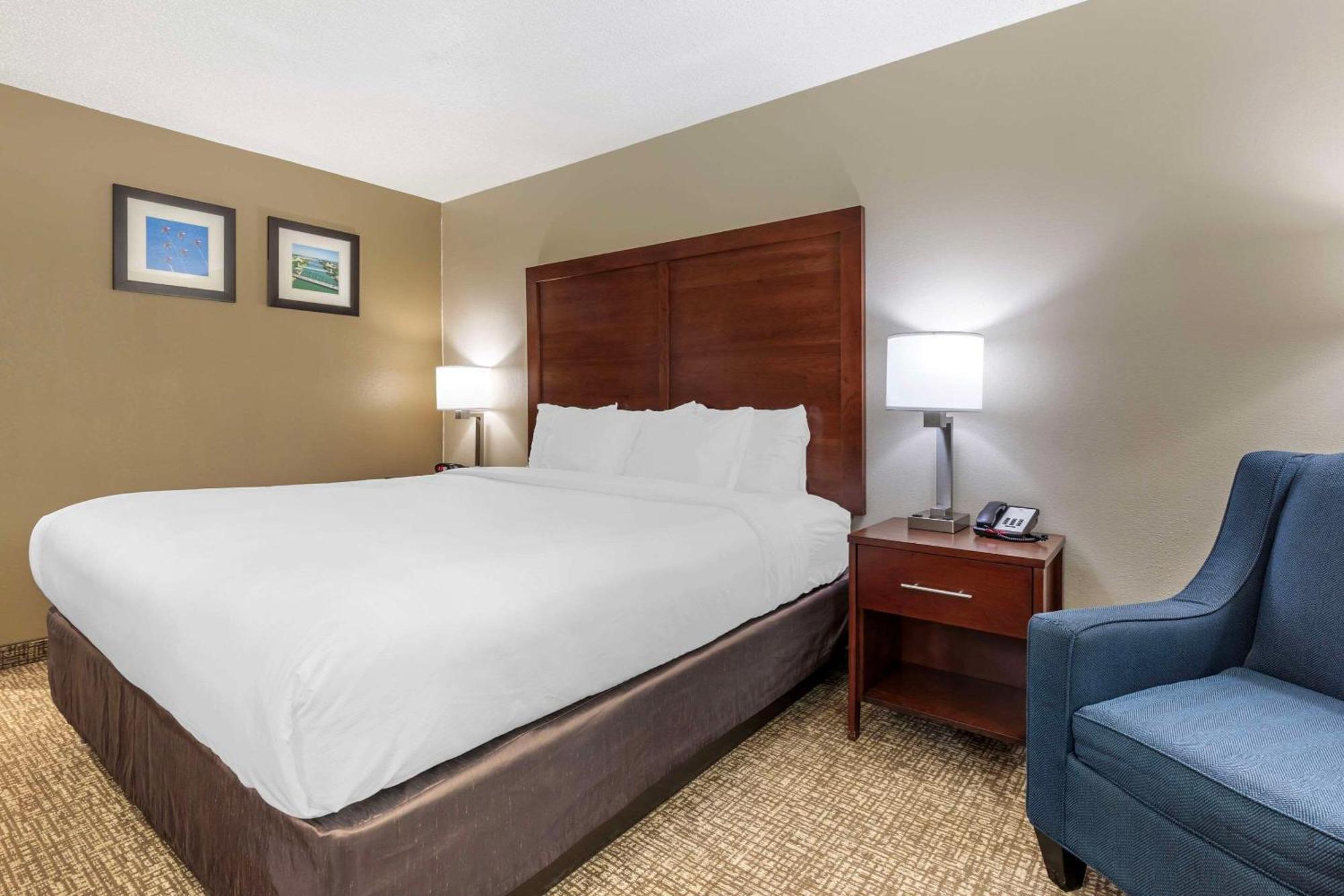 טמפל Comfort Inn & Suites מראה חיצוני תמונה